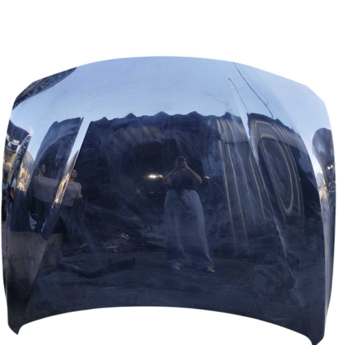 Capô BMW 320i 2.0 2013 2014 2015